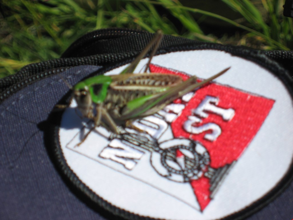 Årsmøte og årsfest -29 januar 2016